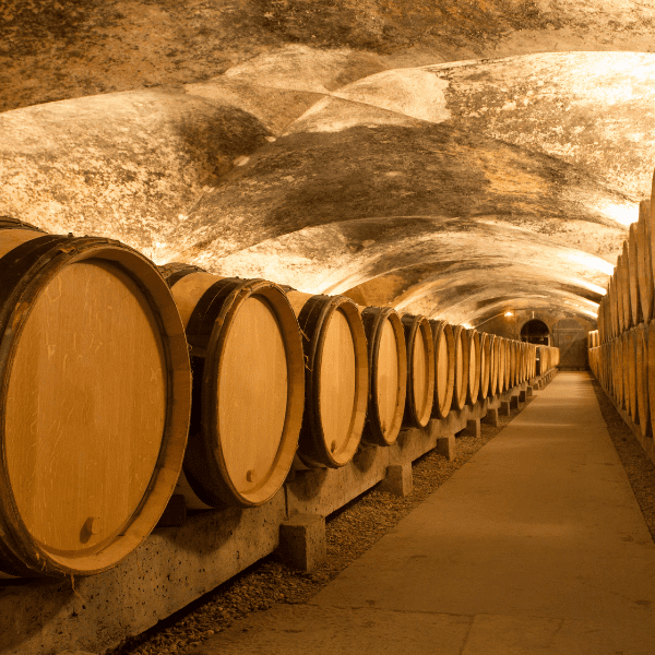 CURSO PRL BODEGAS 10H