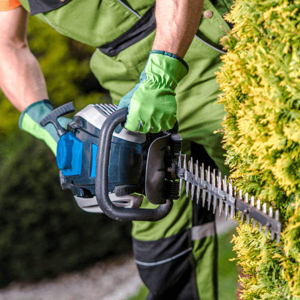 CURSO PRL JARDINERÍA 10H